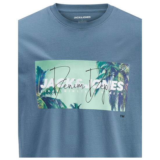 Jack & Jones Ανδρική κοντομάνικη μπλούζα Indiana Crew Neck T-Shirt